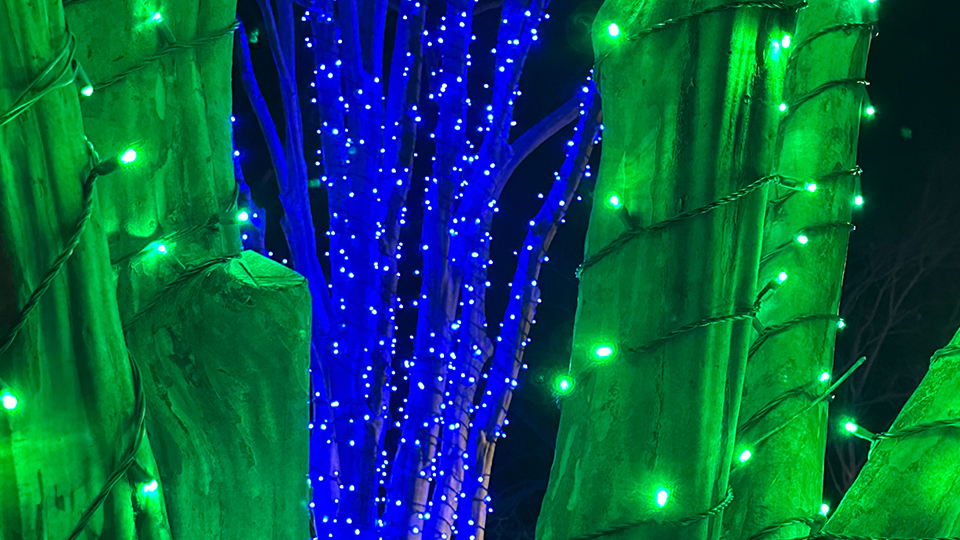 5 Steps to Great Brand Leadership