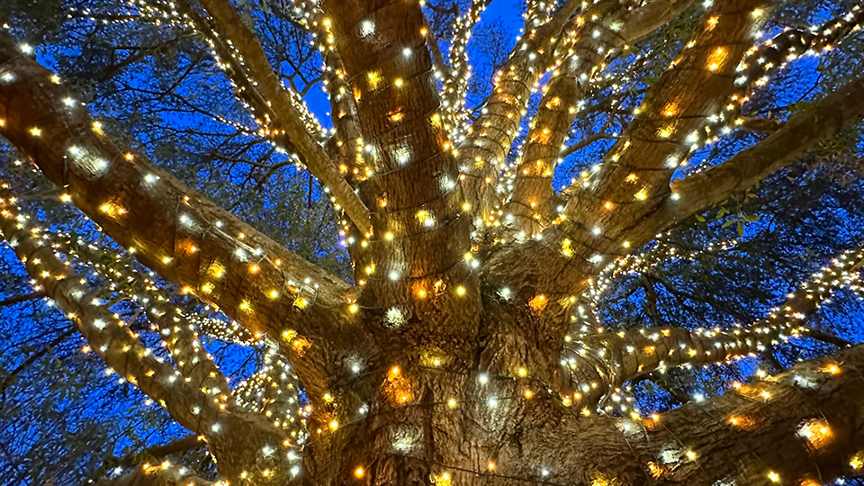 Challenge Your Brand Assumptions