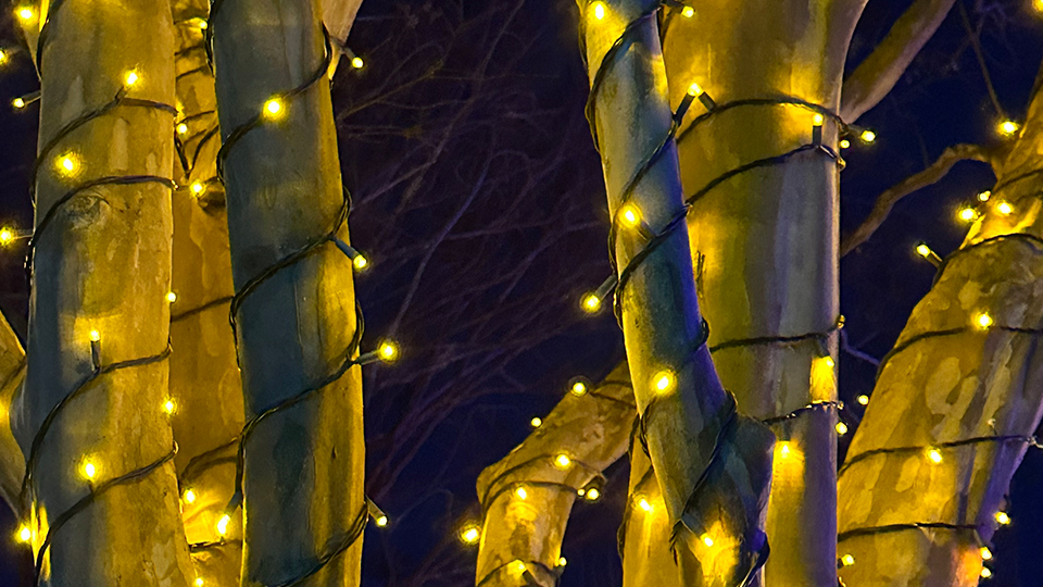 Why HubSpot is Ideal for Nonprofits