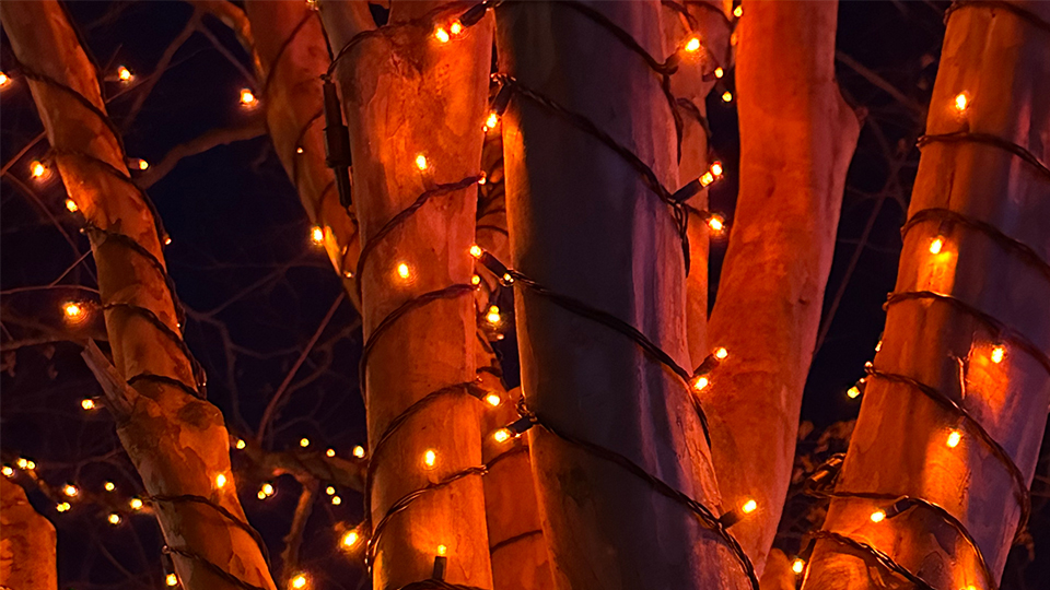 Authenticity is the Heart of Brand